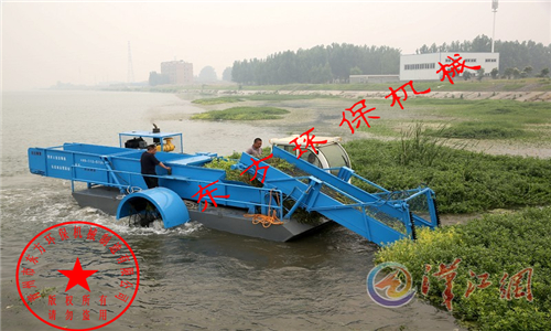 湖北襄阳汉江保洁队购买的DFGC-85 型全自动水花生收割船 【工作视频】
