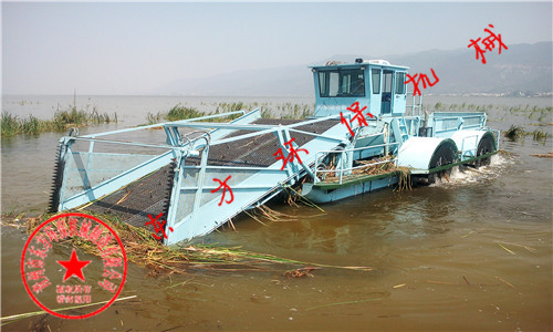 云南红河州异龙湖管委会购买的的DF-LW110型全自动芦苇收割船
