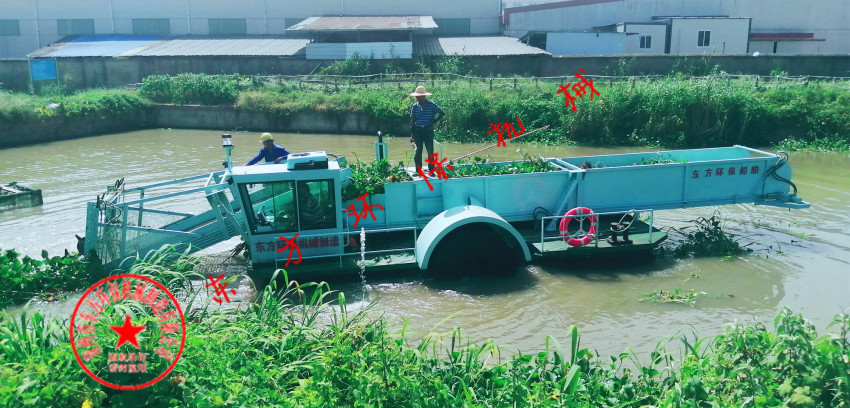 云南文山州盘龙河流域开发公司购买的DFSHL85型全自动水葫芦打捞船